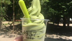 대한다원 매장 이미지