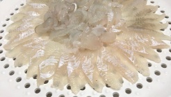 고성횟집 매장 이미지