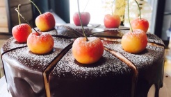 오페라빈 매장 이미지