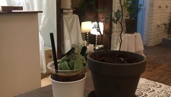 카페혜화동 매장 이미지