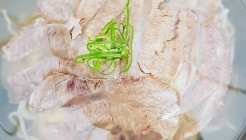 소이연남 매장 이미지