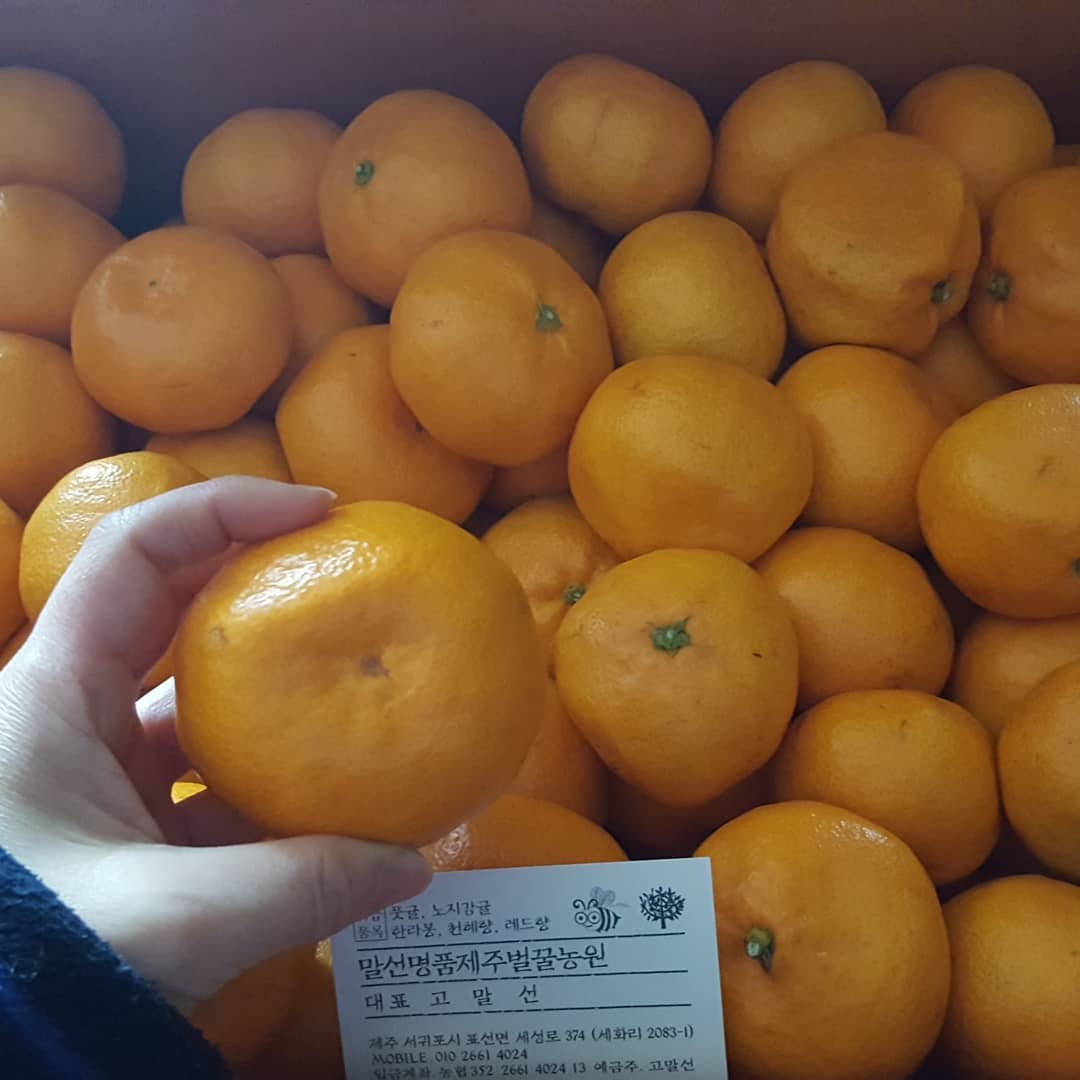 말선명품제주농원 매장 이미지