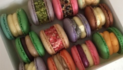 마제스티마카롱 매장 이미지