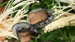 덕성식당 매장 이미지