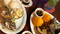 Terry's Rocal Comfort Food 매장 이미지