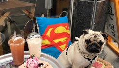 한량 매장 이미지