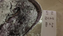 르방제과점 매장 이미지