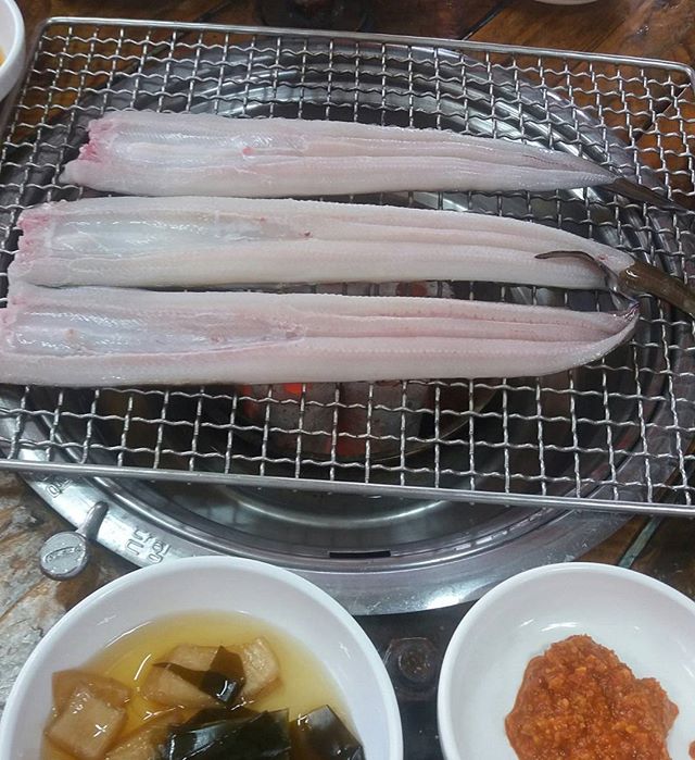 동해범바위골장어 매장 이미지