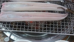 동해범바위골장어 매장 이미지