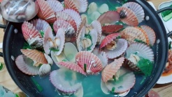 일억불 매장 이미지