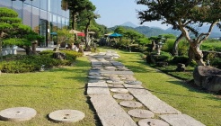 커피와소나무 매장 이미지