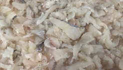 정수횟집 매장 이미지