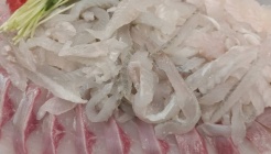 매일매일횟집 매장 이미지