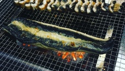 보아스장어 매장 이미지