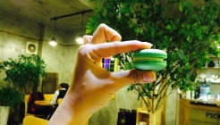 cafe봄 매장 이미지