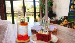 카페텐저린 매장 이미지