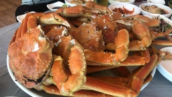 돌고래회시장 매장 이미지