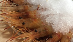 대새는 참바다 매장 이미지