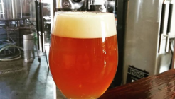 크레이지키위 매장 이미지