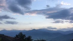 금향다원 매장 이미지