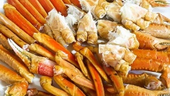 정자돌고래횟집 매장 이미지