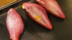 해남고구마빵 피낭시에 매장 이미지