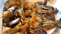 뜰안에정원 매장 이미지