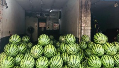 청과물시장 매장 이미지