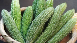 하리네농원 매장 이미지