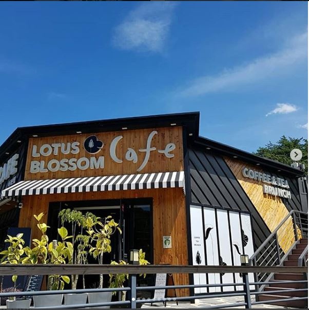 LOTUS BLOSSOM 매장 이미지