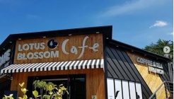 LOTUS BLOSSOM 매장 이미지