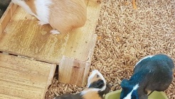 마리앤쥬 매장 이미지