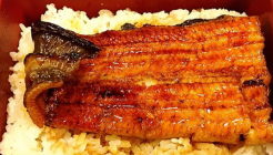 肥前屋 (페이첸우) 매장 이미지