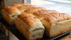 토리 매장 이미지