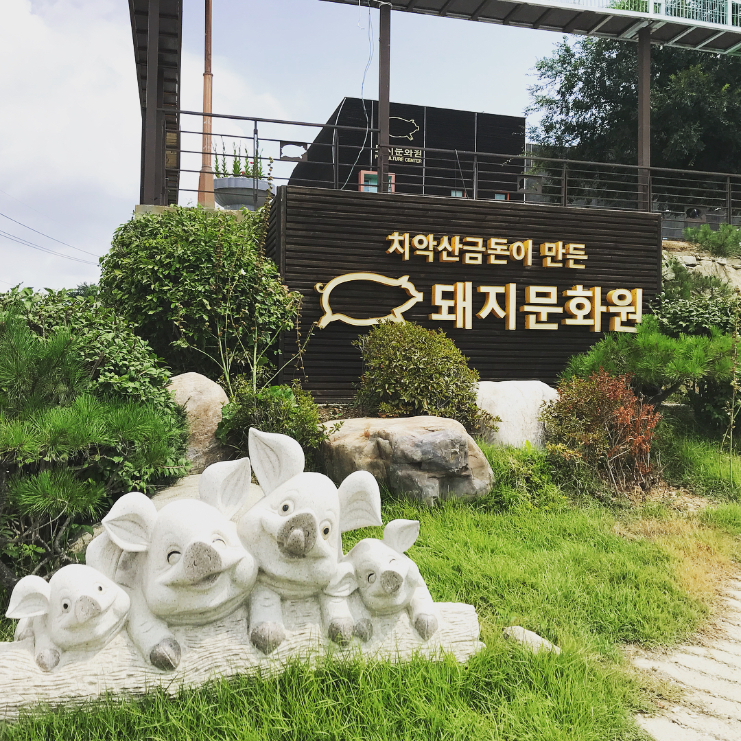 돼지문화원 매장 이미지