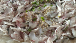 돌고래횟집 매장 이미지