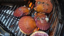 조개천하 매장 이미지