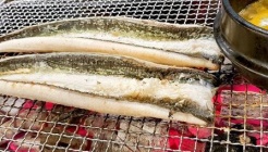 강서풍천민물장어 매장 이미지