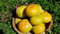 패밀리농장 매장 이미지