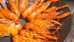 조광 201 매장 이미지