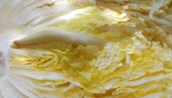 농업회사법인청년푸드 매장 이미지