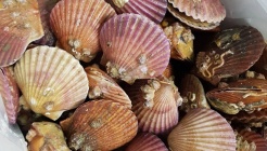 해명수산 매장 이미지