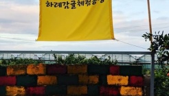 하례감귤체험농장 매장 이미지