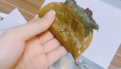 설이담 매장 이미지