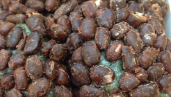 용문 매장 이미지