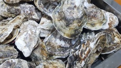 원조굴구이 매장 이미지