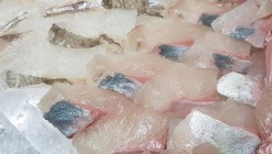 대포항횟집 매장 이미지