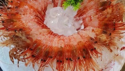 어촌회마을 매장 이미지