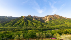 애비로드 매장 이미지