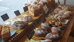 오보록 매장 이미지